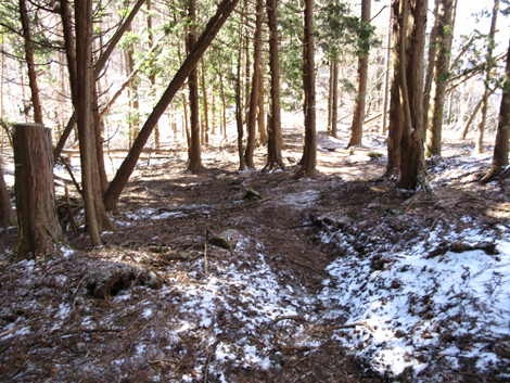 20181214hike (195)